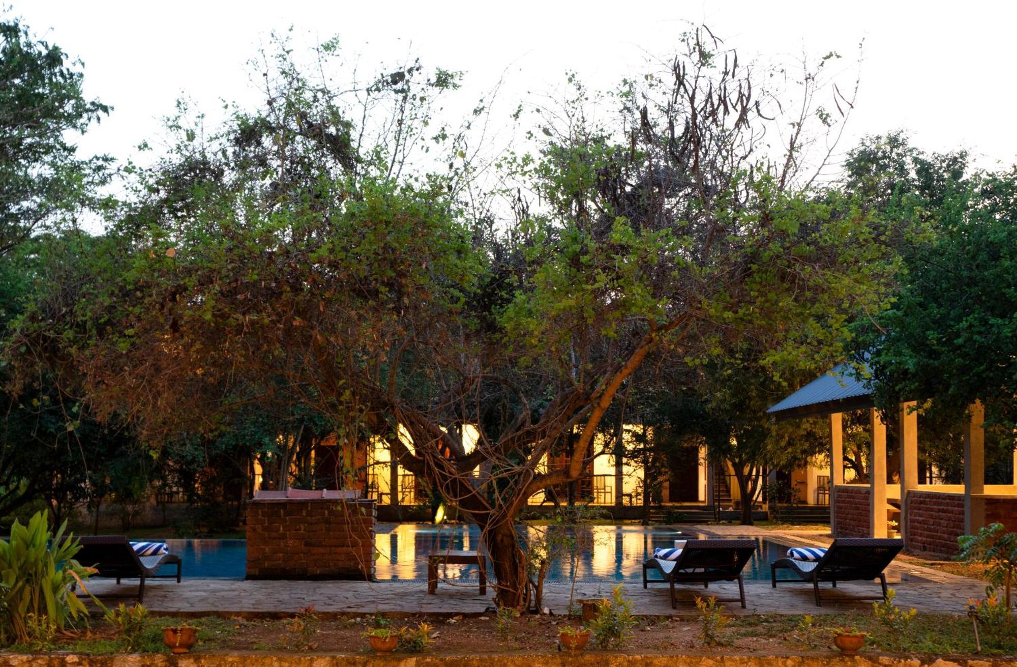 Lario Resort Sigiriya Bagian luar foto